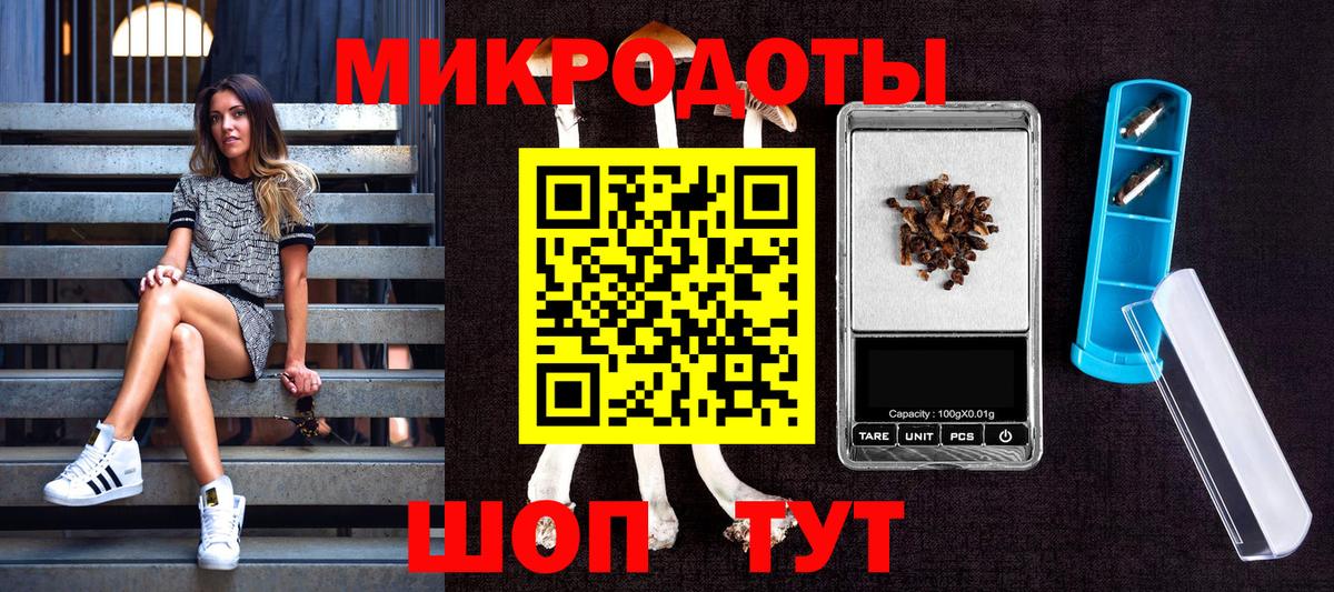 Галлюциногенные грибы Psilocybine cubensis Новокубанск