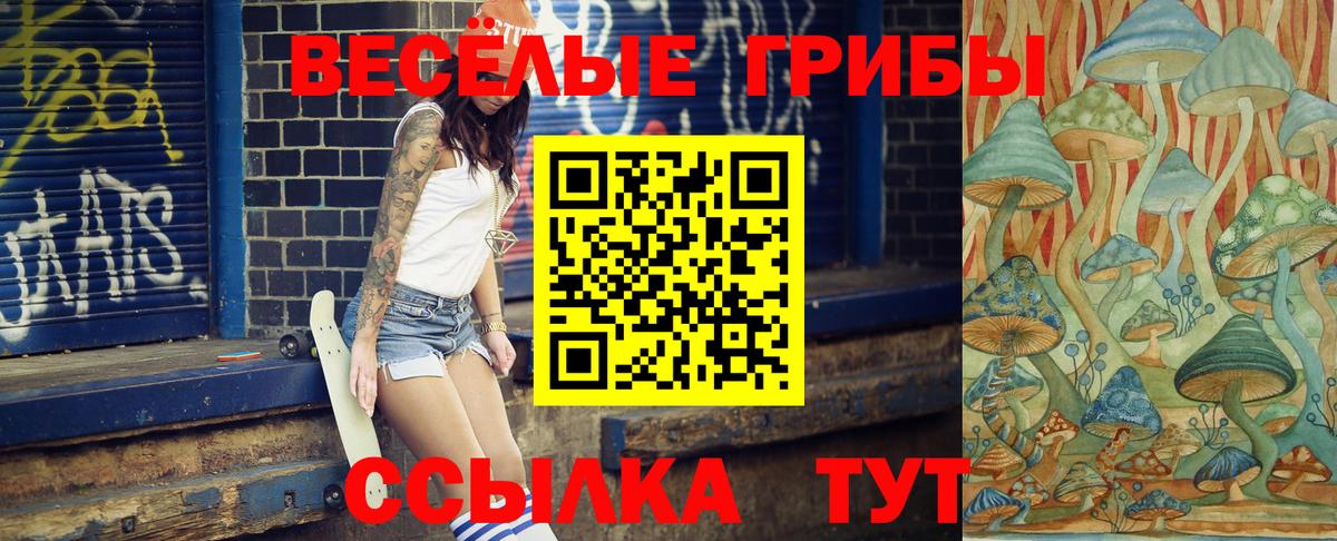 Псилоцибиновые грибы GOLDEN TEACHER  Вход с VPN  Новокубанск  Галлюциногенные грибы Psilocybine cubensis 